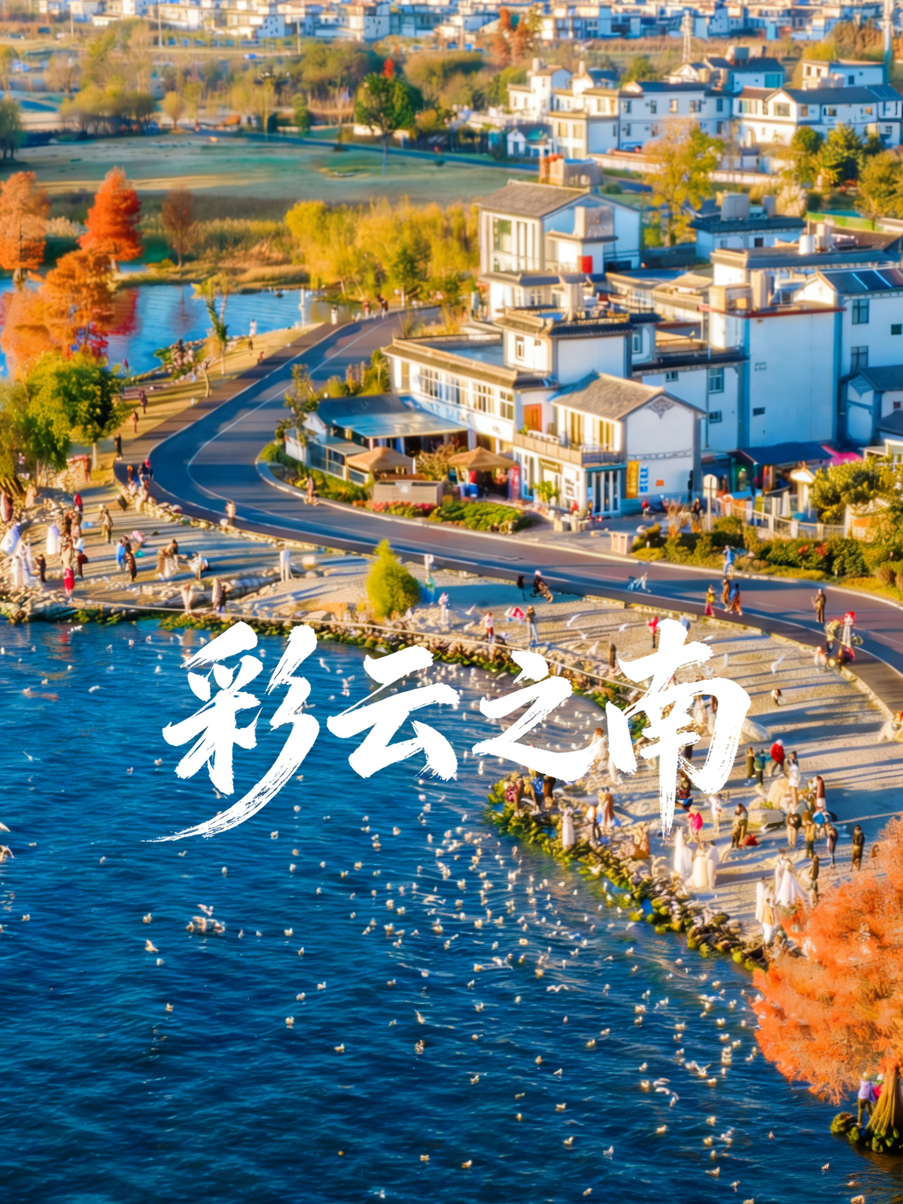 云南昆明+大理市+丽江6日5晚跟团游(阮淑怡）