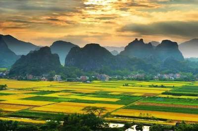 春日限定！阳春研学一日游（沈羽琪）