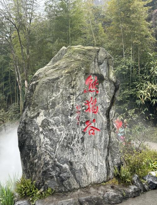 都江堰熊猫谷+水利工程一日研学营（何娇娇）