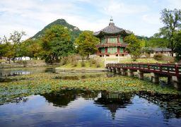 travel picture