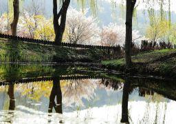travel picture