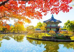 travel picture