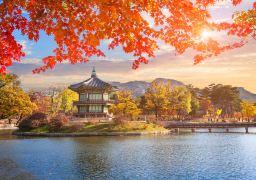 travel picture